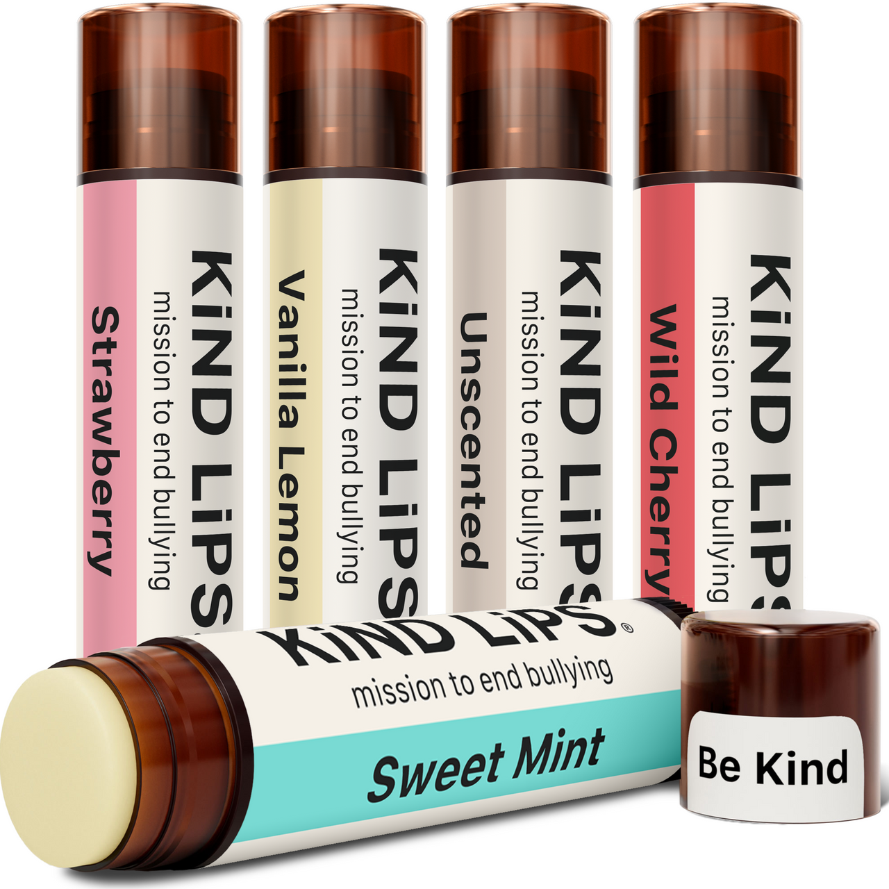 Variety Pack Organic Lip Balm - 5 Pack Box